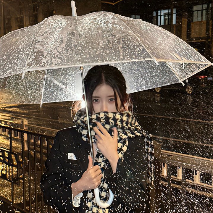 钢之炼金术师:叹息之丘的圣星